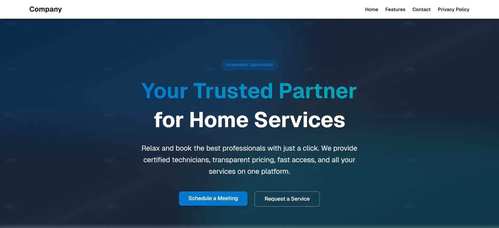 Company landing page, screen 1